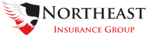Northeast Insurance Group, LLC